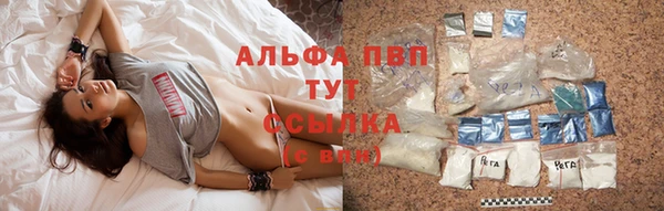 винт Карпинск