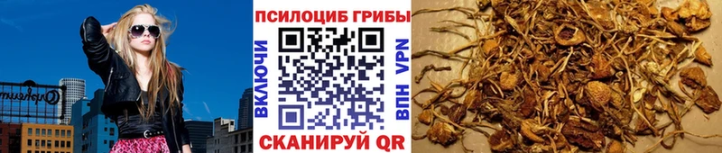 Купить закладки  Трёхгорный  Псилоцибиновые грибы GOLDEN TEACHER 
